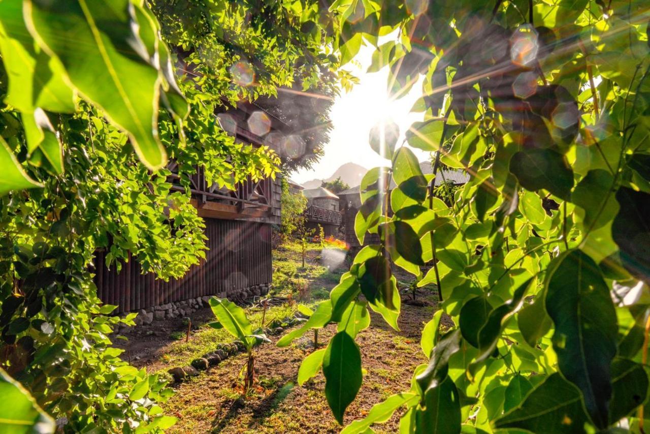 Jungle Bay Dominica Hotel Soufriere Bagian luar foto